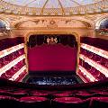Гастроли Большого театра вызвали билетный ажиотаж среди британцев