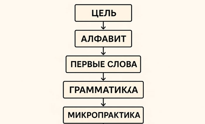 Как выучить французский с нуля для взрослых: гайд A1–A2
