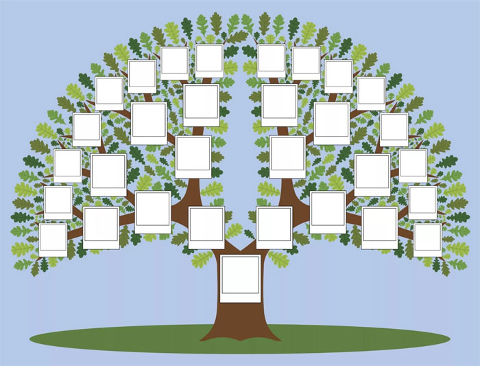 Как составить генеалогическое древо семьи и рода | Шаблон