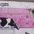 На арт-форуме в Петербуге покажут граффити, не оставляющее следов
