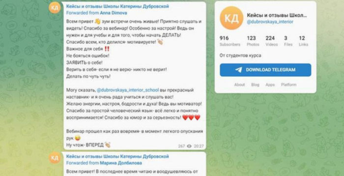 Отзывы о Катерине Дубровской и курсах её «Школы дизайна интерьеров»