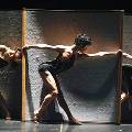 Израильские танцоры из «Киббуца» привезут в Москву новый спектакль