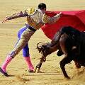 Гибель португальского тореадора вновь разожгла споры о корриде