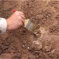 На раскопках в Польше нашли интимную игрушку 300-летней давности