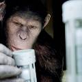 «Восстание планеты обезьян» выходит на российские экраны
