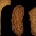 В Испании обнаружена самая старая обувь - этим сандалиям около 6000 лет
