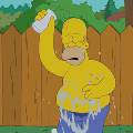 Гомер Симпсон облился ледяной водой в новой серии мультфильма