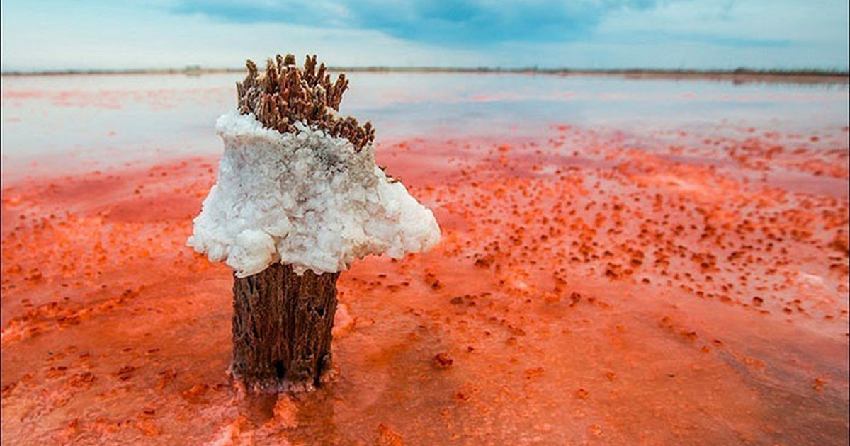 Мертвое море водоросли. Солончак Сиваш. Сиваша соляные озера. Сиваш гнилое море. Соляное озеро Крым Сиваш.