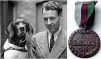 Как собака стала героем Второй мировой и единственным четвероногим военнопленным в истории