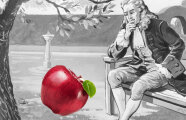Падало ли яблоко на голову Ньютона, и Другие факты из жизни ученого, в которые трудно поверить