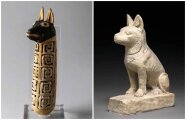 Как относились к собакам в Древнем Египте: Лучшие друзья человека, жертвенные подношения, любимцы богов и др
