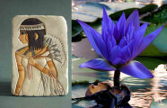 Секрет Голубого лотоса: Божественный цветок, который околдовал Древний Египет
