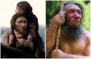 Кем были неандертальцы и почему они так важны для современных людей