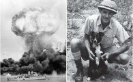 Как одна бездомная собака спасла от бомбардировок целый город: Пёс Стрелок - Ангел Дарвина 