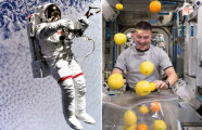Чем занимаются космонавты между полётами: российский член экипажа раскрыл все секреты