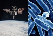 Как комическая станция стала рассадником бактерий-мутантов: в чём их опасность для жителей Земли и почему ученые не знают, что делать 
