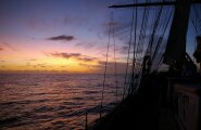 Какие тайны хранит Саргассово море: «Мусорный остров», пропавшие путешественники, блуждающие корабли и не только